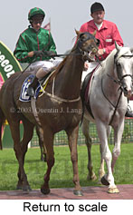 Return to scale (14846 bytes)