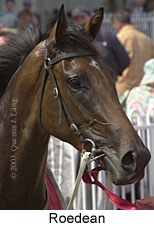 Roedean (11944 bytes)