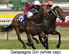 Galapagos Girl (18402 bytes)