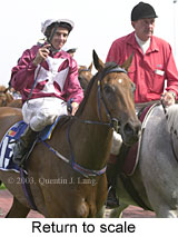 Return to scale (13219 bytes)