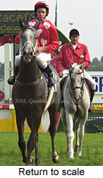 Return to scale (16027 bytes)