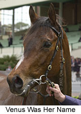 r1venuswashername2.jpg (12248 bytes)