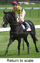 r2rtosc.jpg (12593 bytes)