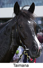 r2taimana2.jpg (10240 bytes)