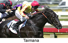 r2taimana3.jpg (14404 bytes)