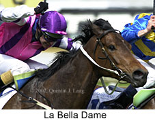 r3labelladame.jpg (17803 bytes)