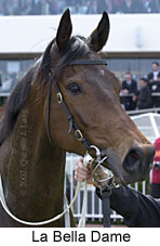 r3labelladame3.jpg (11710 bytes)