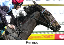 r5pernod.jpg (14879 bytes)