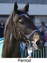 r5pernod2.jpg (11937 bytes)