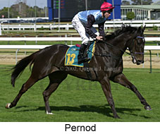 r5pernod3.jpg (17914 bytes)