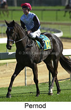 r5pernod4.jpg (13392 bytes)