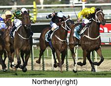 r6northerly2.jpg (20480 bytes)