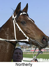 r6northerly3.jpg (11941 bytes)