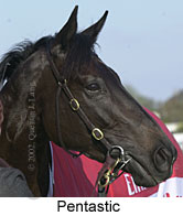 r7pentastic2.jpg (9321 bytes)