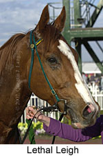 r8lethalleigh3.jpg (13669 bytes)