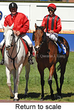 Return to scale (14008 bytes)