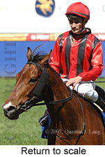 Return to scale (14008 bytes)