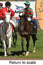 Return to scale (14008 bytes)