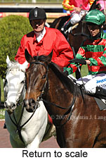 Return to scale (14008 bytes)