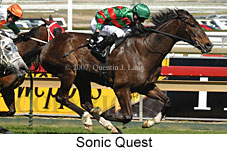 Sonic Quest (14772 bytes)