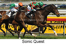 Sonic Quest (14772 bytes)