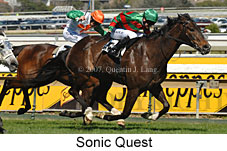 Sonic Quest (14772 bytes)