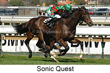 Sonic Quest (14772 bytes)