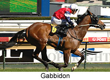 Gabbidon (14772 bytes)