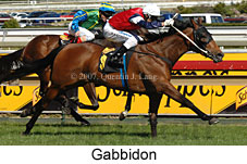 Gabbidon (14772 bytes)