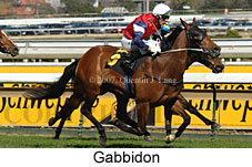 Gabbidon (14772 bytes)