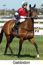 Gabbidon (14772 bytes)