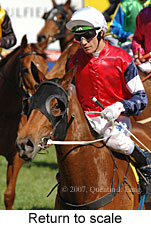 Return to scale (14008 bytes)