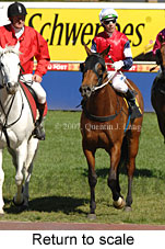 Return to scale (14008 bytes)