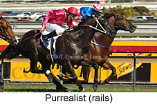 Purrealist (14772 bytes)