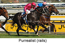 Purrealist (14772 bytes)