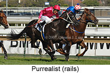 Purrealist (14772 bytes)