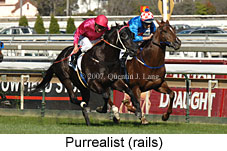 Purrealist (14772 bytes)