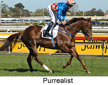 Purrealist (14772 bytes)