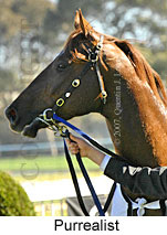 Purrealist (14772 bytes)