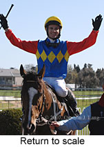 Return to scale (14008 bytes)