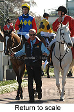 Return to scale (14008 bytes)