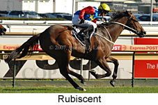 Rubiscent (14772 bytes)