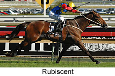 Rubiscent (14772 bytes)