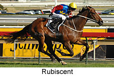 Rubiscent (17571 bytes)