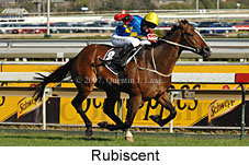 Rubiscent (14772 bytes)