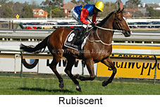 Rubiscent (14772 bytes)