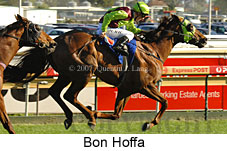 Bon Hoffa (14772 bytes)