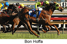 Bon Hoffa (17571 bytes)