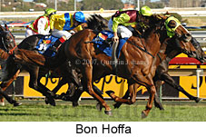 Bon Hoffa (14772 bytes)