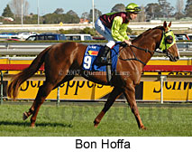 Bon Hoffa (14772 bytes)